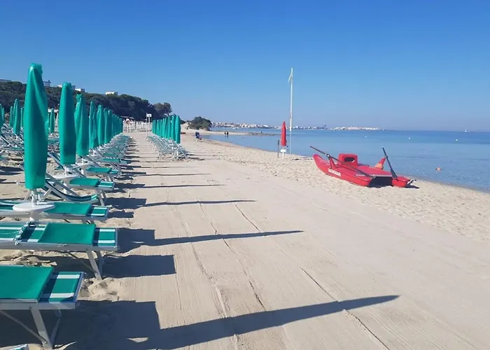 Il Nido Del Gabbiano