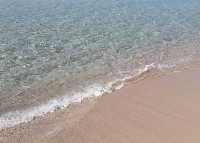 Il Nido Del Gabbiano *