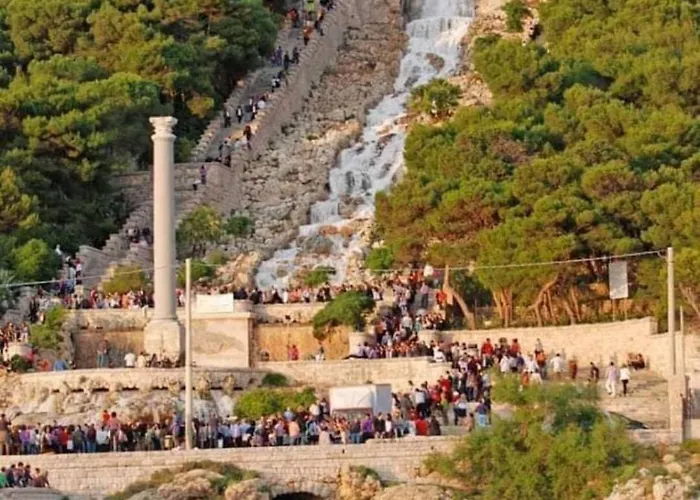 Il Nido Del Gabbiano