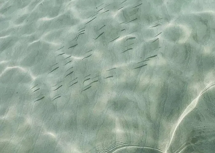 Il Nido Del Gabbiano Gallipoli