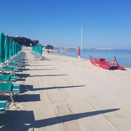 Il Nido Del Gabbiano