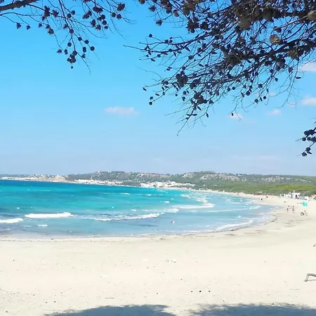 Appartement Il Nido Del Gabbiano Gallipoli