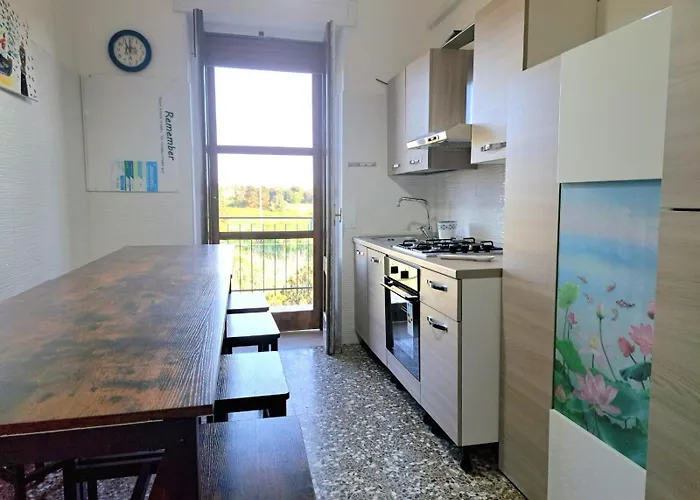 Il Nido Del Gabbiano