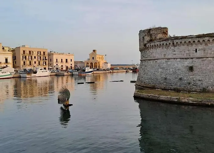 Il Nido Del Gabbiano