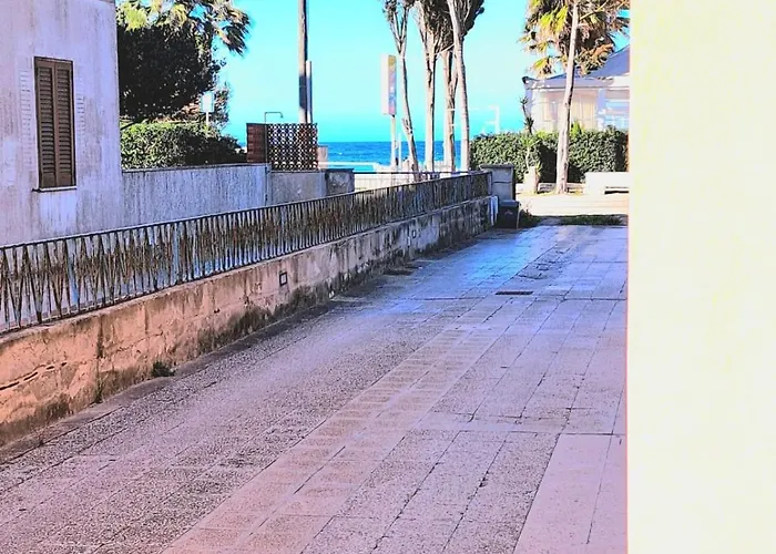 Il Nido Del Gabbiano *